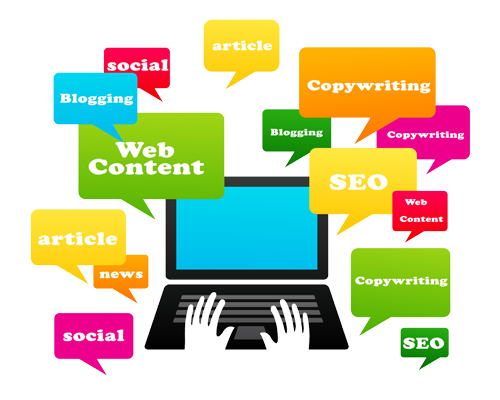 What We Offer?